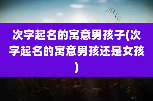 次字起名的寓意男孩子(次字起名的寓意男孩还是女孩)