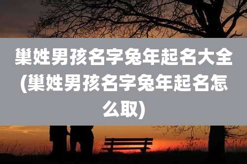 巢姓男孩名字兔年起名大全(巢姓男孩名字兔年起名怎么取)