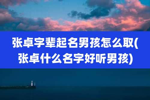 张卓字辈起名男孩怎么取(张卓什么名字好听男孩)
