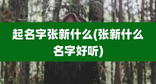 起名字张新什么(张新什么名字好听)