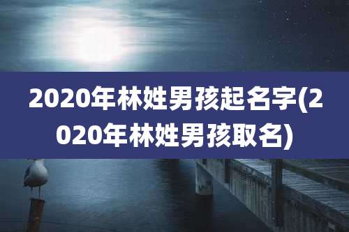 2020年林姓男孩起名字(2020年林姓男孩取名)