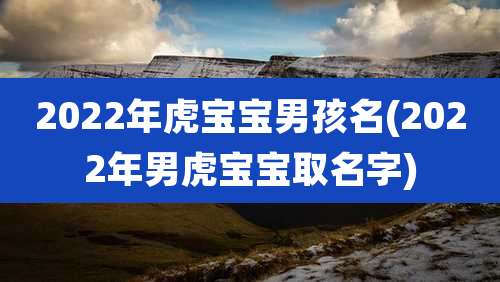 2022年虎宝宝男孩名(2022年男虎宝宝取名字)