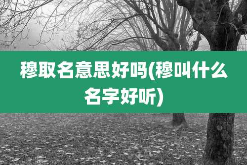穆取名意思好吗(穆叫什么名字好听)