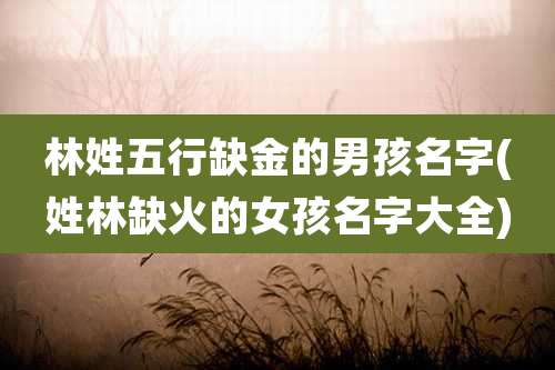 林姓五行缺金的男孩名字(姓林缺火的女孩名字大全)