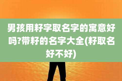男孩用籽字取名字的寓意好吗?带籽的名字大全(籽取名好不好)