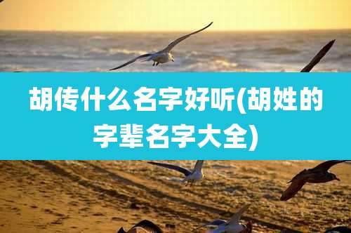 胡传什么名字好听(胡姓的字辈名字大全)