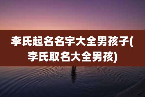 李氏起名名字大全男孩子(李氏取名大全男孩)