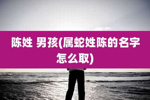 陈姓 男孩(属蛇姓陈的名字怎么取)