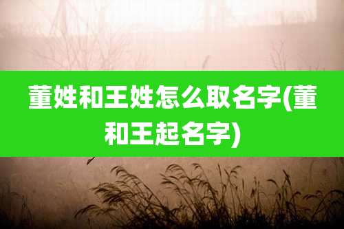 董姓和王姓怎么取名字(董和王起名字)