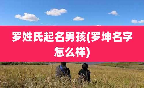 罗姓氏起名男孩(罗坤名字怎么样)