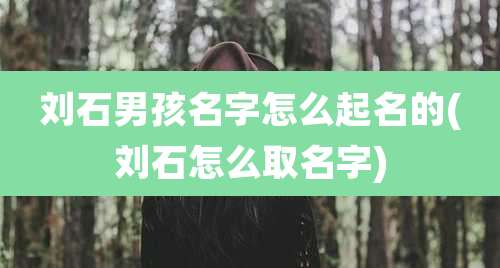 刘石男孩名字怎么起名的(刘石怎么取名字)