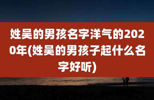 姓吴的男孩名字洋气的2020年(姓吴的男孩子起什么名字好听)