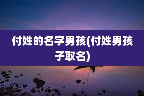 付姓的名字男孩(付姓男孩子取名)