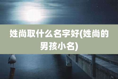 姓尚取什么名字好(姓尚的男孩小名)