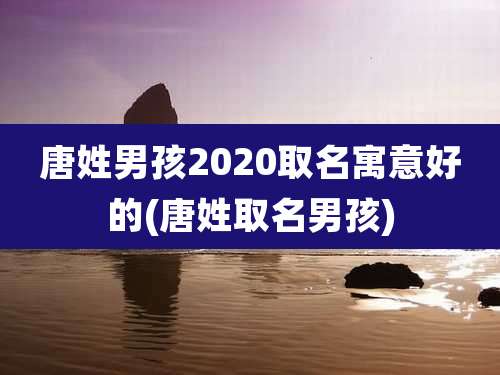唐姓男孩2020取名寓意好的(唐姓取名男孩)