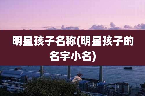 明星孩子名称(明星孩子的名字小名)