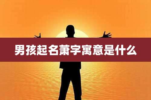 男孩起名萧字寓意是什么