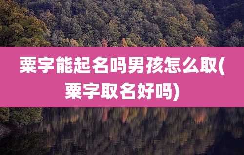 粟字能起名吗男孩怎么取(粟字取名好吗)