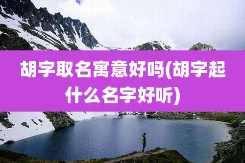 胡字取名寓意好吗(胡字起什么名字好听)