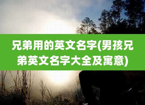 兄弟用的英文名字(男孩兄弟英文名字大全及寓意)