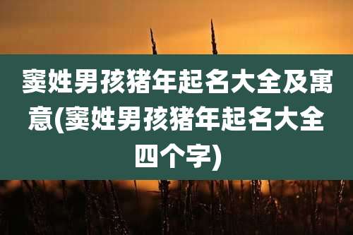 窦姓男孩猪年起名大全及寓意(窦姓男孩猪年起名大全四个字)