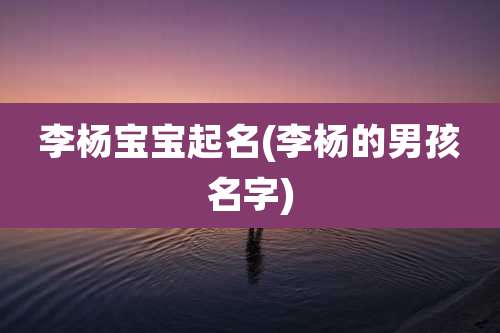 李杨宝宝起名(李杨的男孩名字)