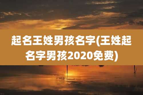 起名王姓男孩名字(王姓起名字男孩2020免费)