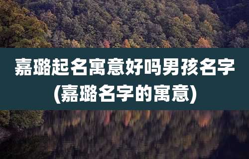 嘉璐起名寓意好吗男孩名字(嘉璐名字的寓意)