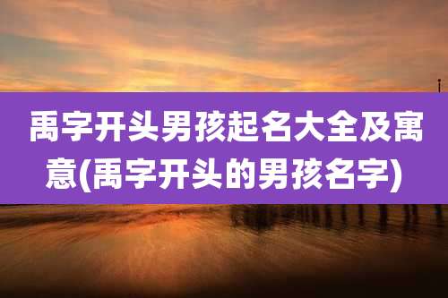 禹字开头男孩起名大全及寓意(禹字开头的男孩名字)