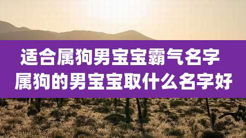 适合属狗男宝宝霸气名字 属狗的男宝宝取什么名字好