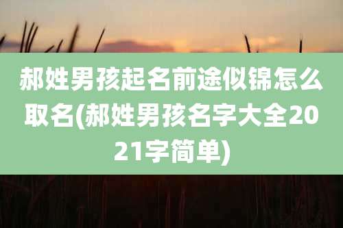 郝姓男孩起名前途似锦怎么取名(郝姓男孩名字大全2021字简单)