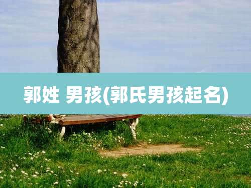 郭姓 男孩(郭氏男孩起名)