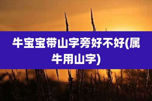 牛宝宝带山字旁好不好(属牛用山字)