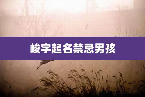 峻字起名禁忌男孩
