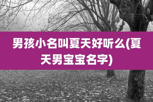 男孩小名叫夏天好听么(夏天男宝宝名字)