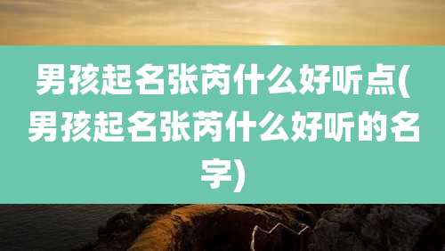 男孩起名张芮什么好听点(男孩起名张芮什么好听的名字)