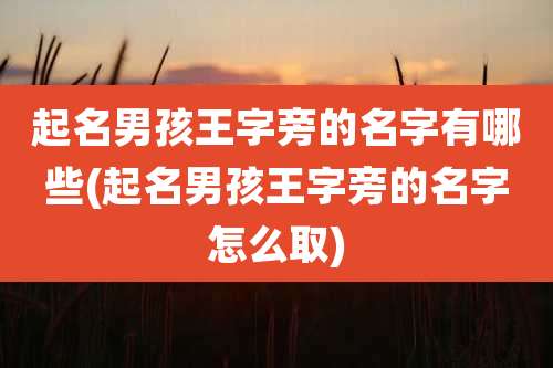 起名男孩王字旁的名字有哪些(起名男孩王字旁的名字怎么取)