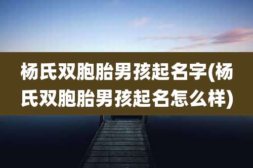 杨氏双胞胎男孩起名字(杨氏双胞胎男孩起名怎么样)