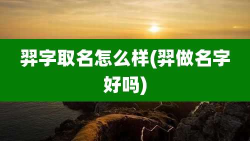 羿字取名怎么样(羿做名字好吗)