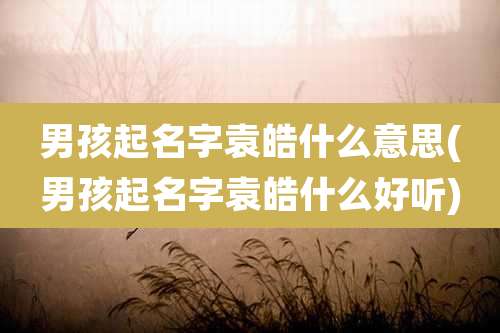 男孩起名字袁皓什么意思(男孩起名字袁皓什么好听)