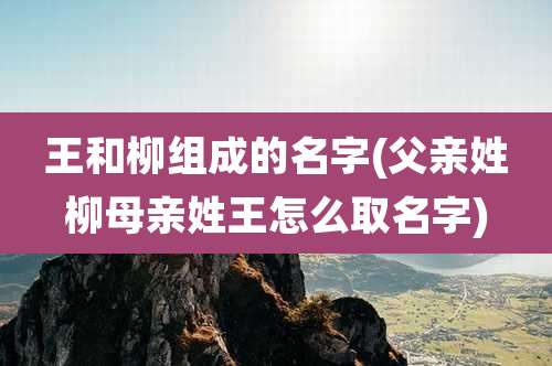 王和柳组成的名字(父亲姓柳母亲姓王怎么取名字)