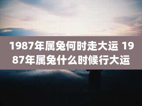 1987年属兔何时走大运 1987年属兔什么时候行大运