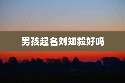 男孩起名刘知毅好吗