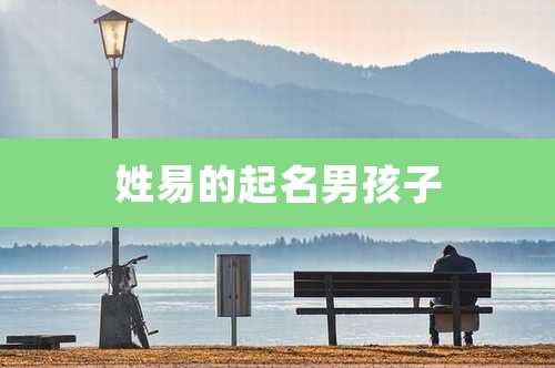 姓易的起名男孩子