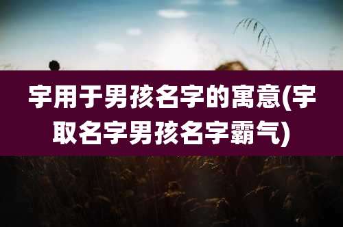 宇用于男孩名字的寓意(宇取名字男孩名字霸气)
