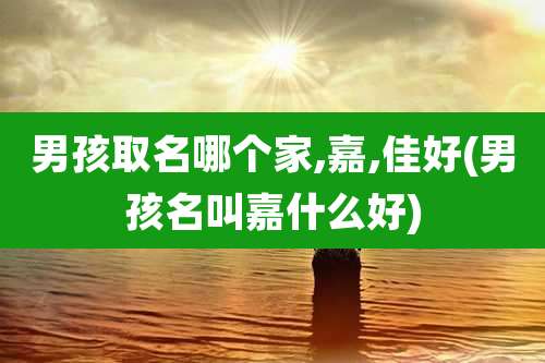 男孩取名哪个家,嘉,佳好(男孩名叫嘉什么好)