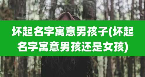 坏起名字寓意男孩子(坏起名字寓意男孩还是女孩)