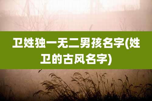 卫姓独一无二男孩名字(姓卫的古风名字)