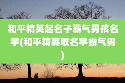 和平精英起名子霸气男孩名字(和平精英取名字霸气男)