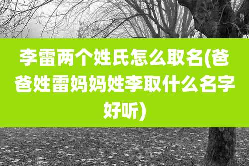 李雷两个姓氏怎么取名(爸爸姓雷妈妈姓李取什么名字好听)